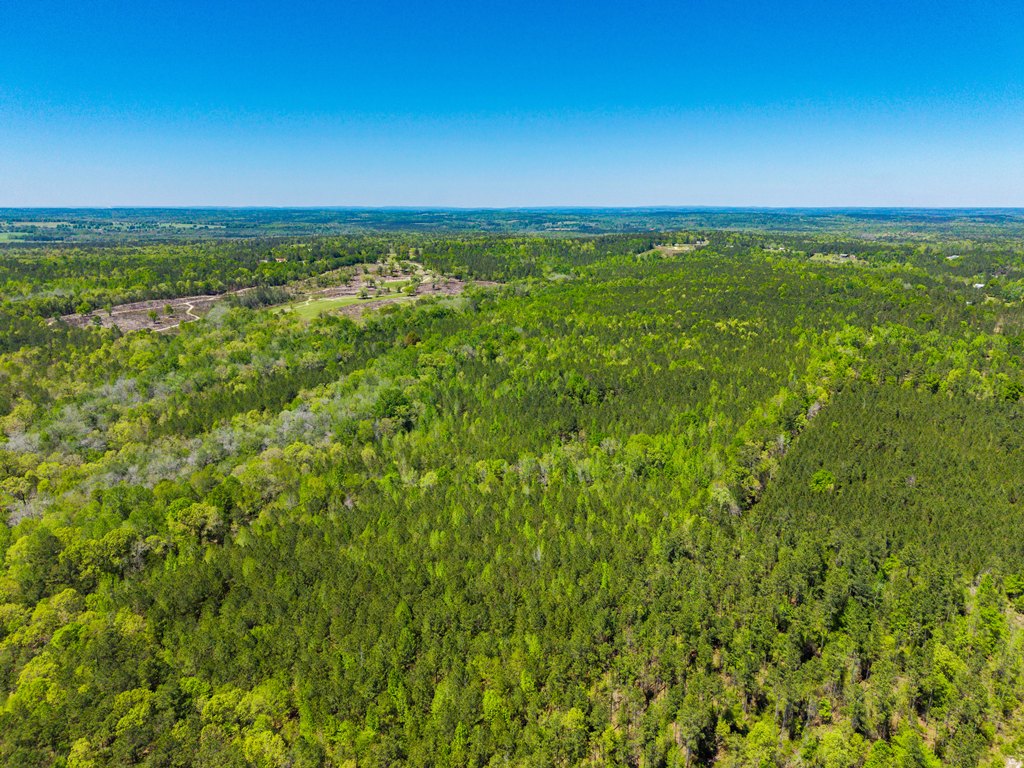 North Taylor Ranch Photo
