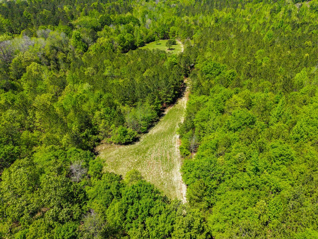 North Taylor Ranch Photo