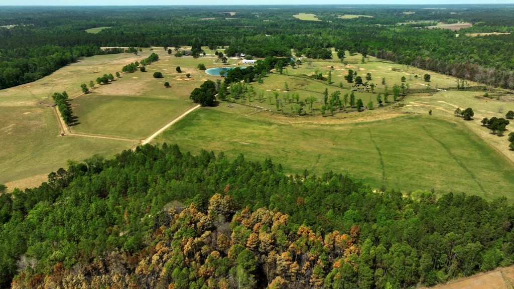 Elysian Fields Cattle Farm Photo