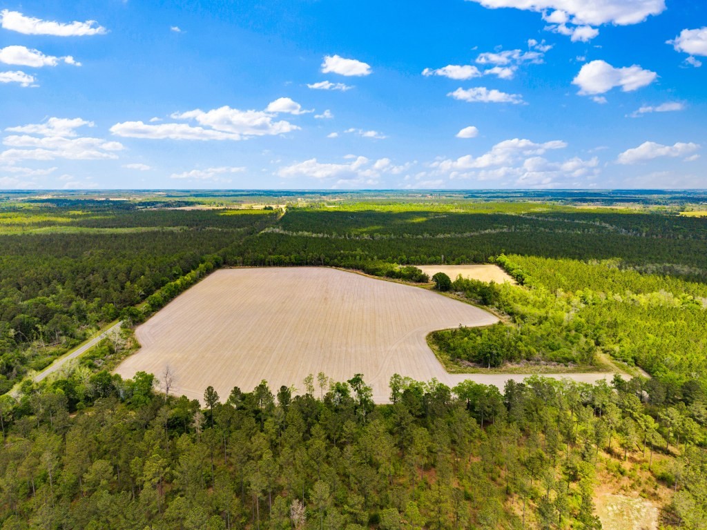 Wolf Branch Farm Photo