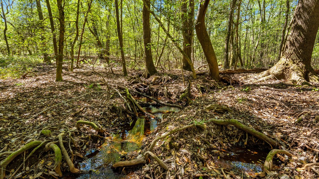 North Taylor Ranch Photo