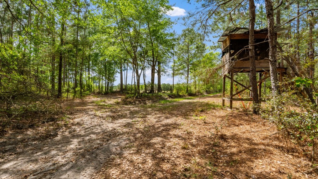 Wolf Branch Farm Photo