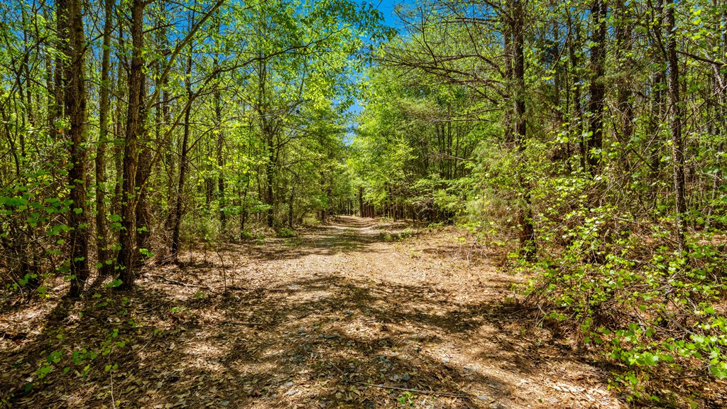North Taylor Ranch Photo