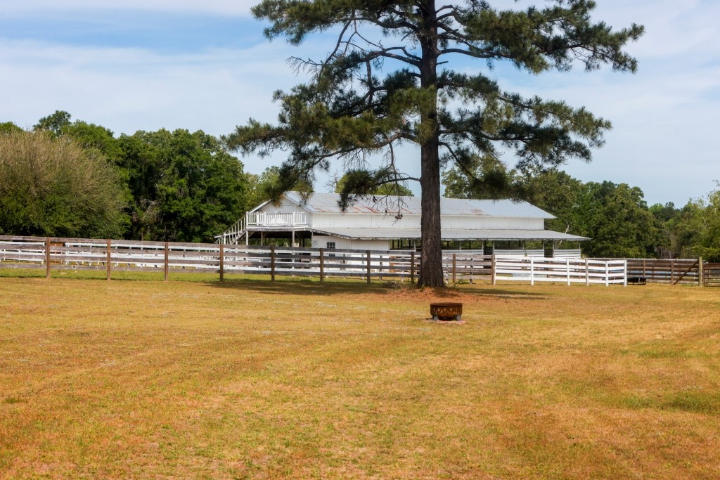 Elysian Fields Cattle Farm Photo