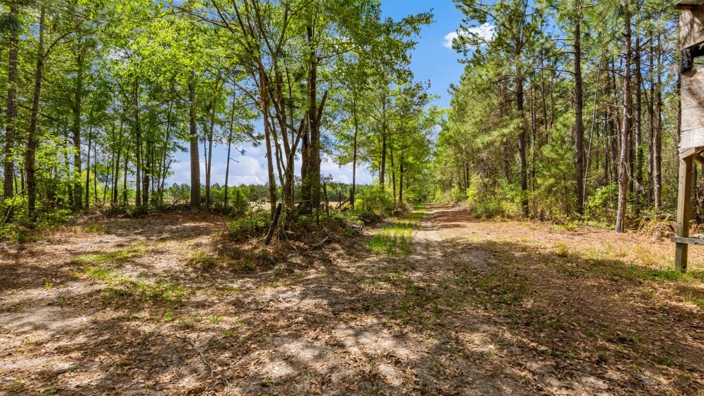 Wolf Branch Farm Photo