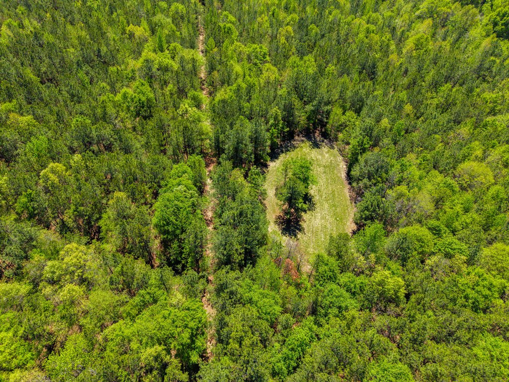 North Taylor Ranch Photo