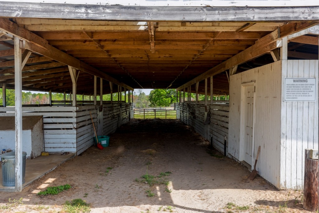 Elysian Fields Cattle Farm Photo