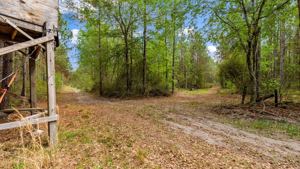Wolf Branch Farm Photo