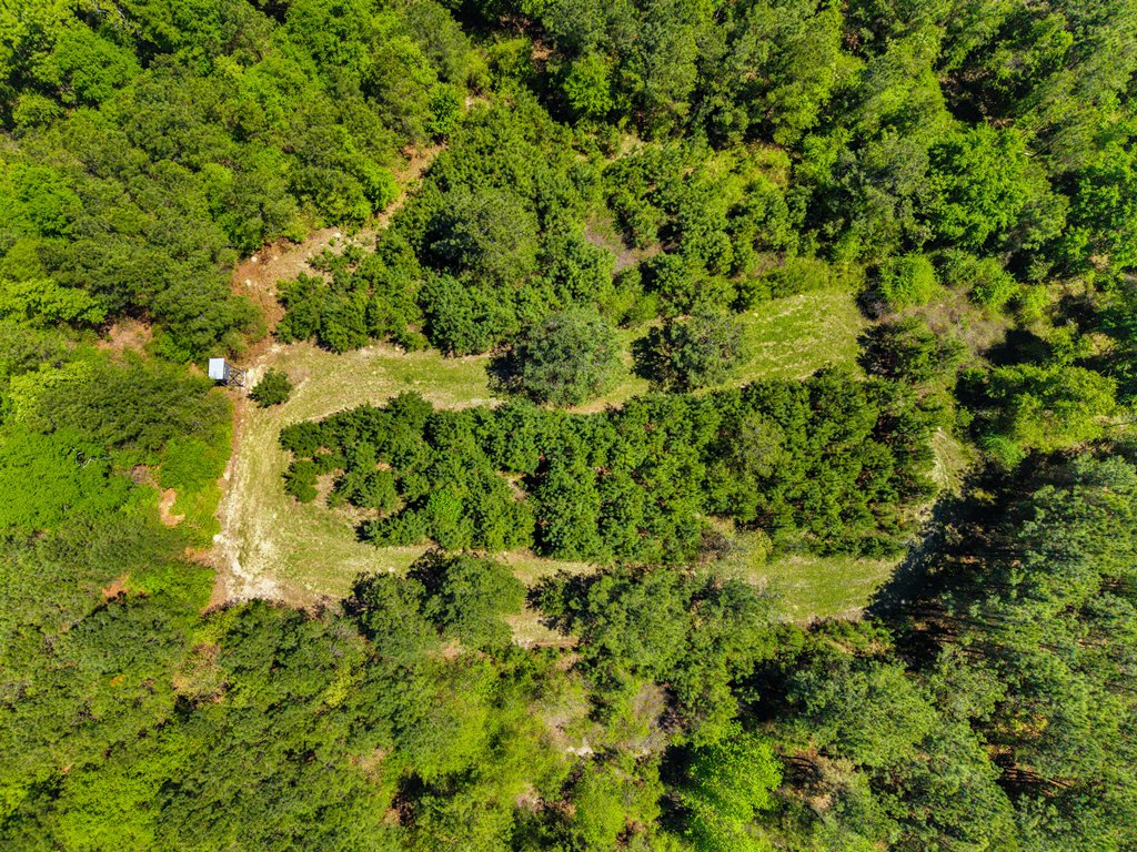 North Taylor Ranch Photo