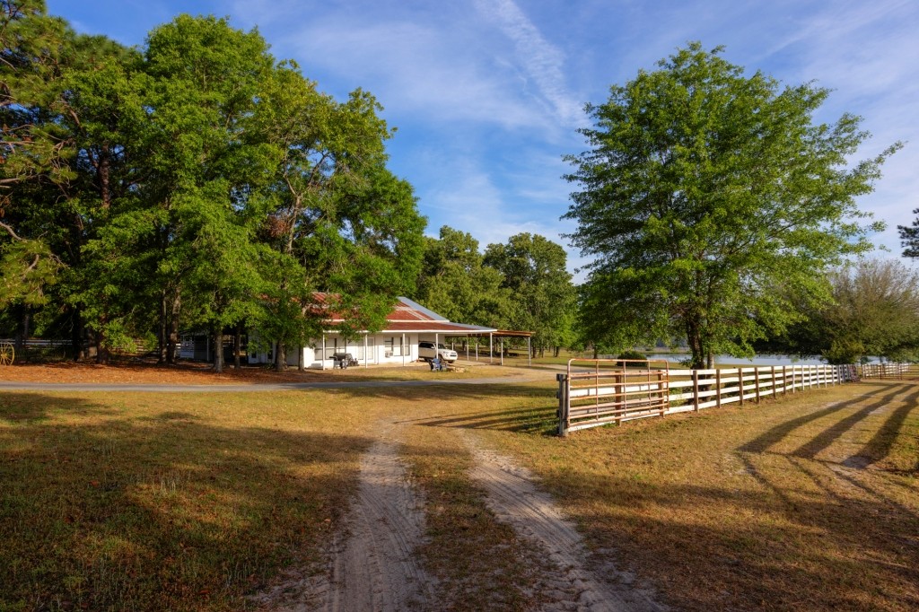 Elysian Fields Cattle Farm Photo