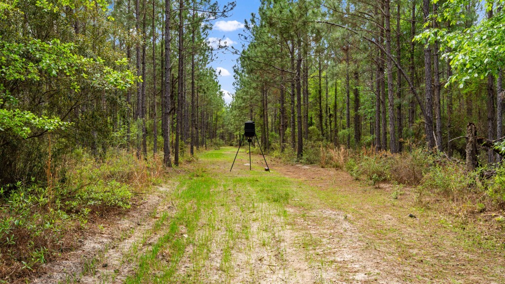 Wolf Branch Farm Photo