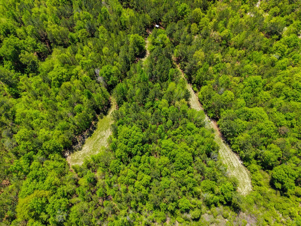 North Taylor Ranch Photo