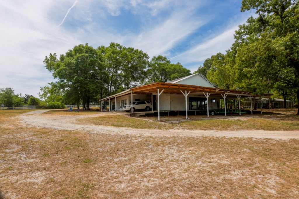 Elysian Fields Cattle Farm Photo