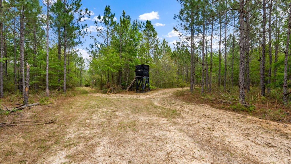 Wolf Branch Farm Photo