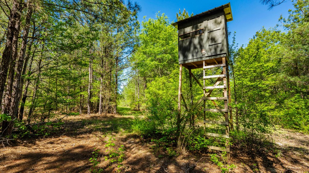 North Taylor Ranch Photo