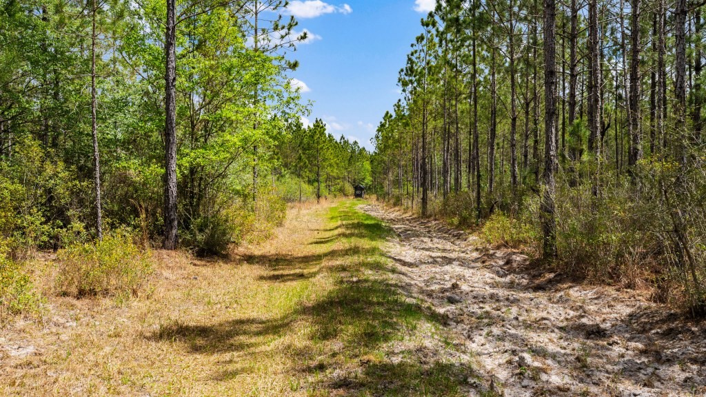 Wolf Branch Farm Photo