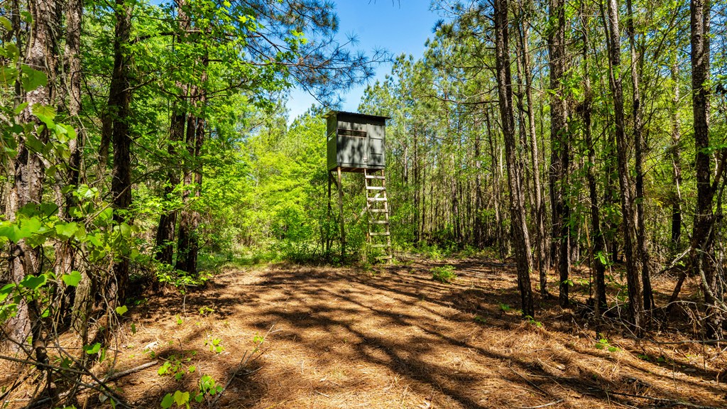 North Taylor Ranch Photo
