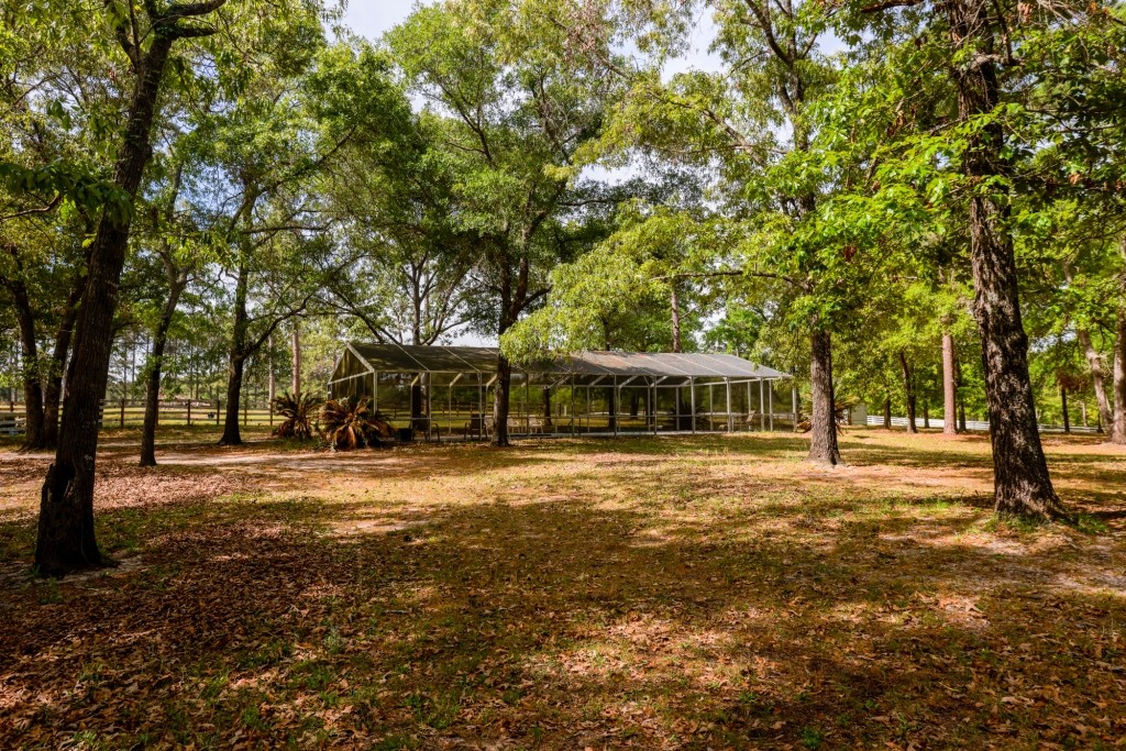 Elysian Fields Cattle Farm Photo