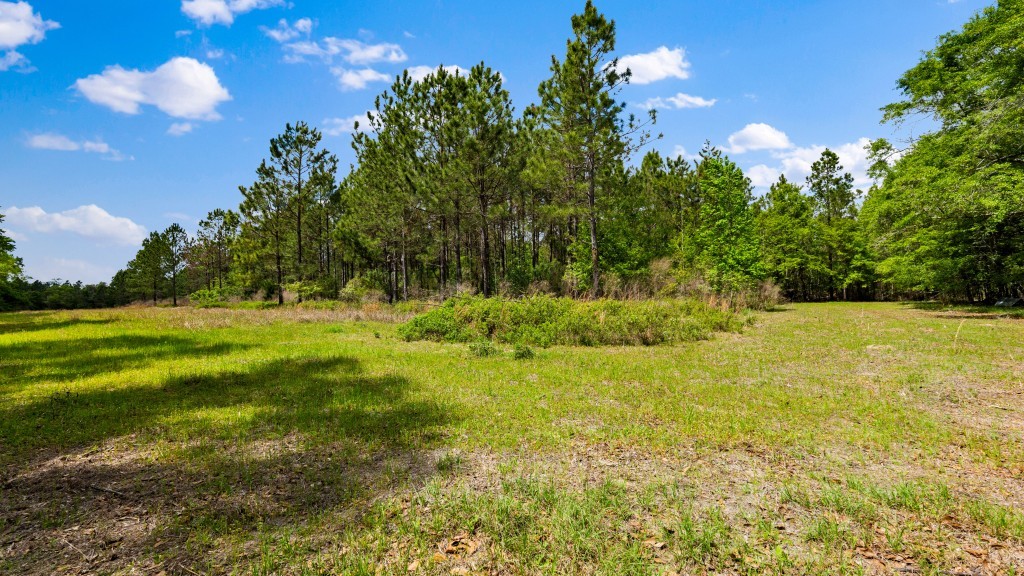 Wolf Branch Farm Photo