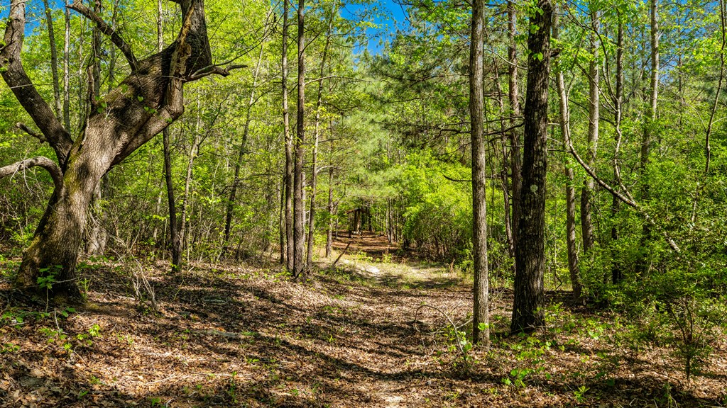 North Taylor Ranch Photo