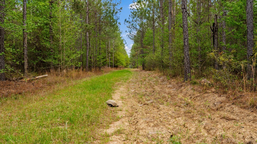 Wolf Branch Farm Photo
