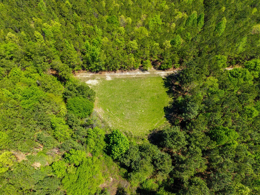 North Taylor Ranch Photo