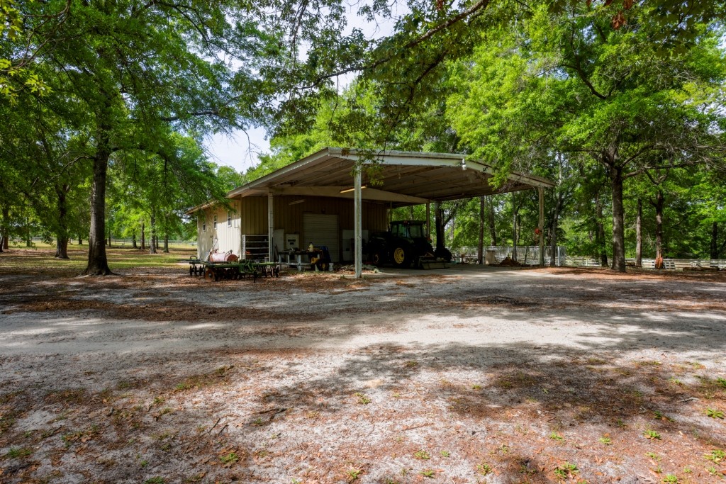 Elysian Fields Cattle Farm Photo