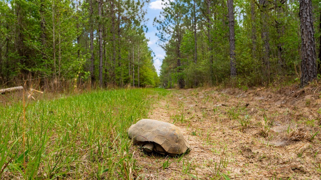 Wolf Branch Farm Photo