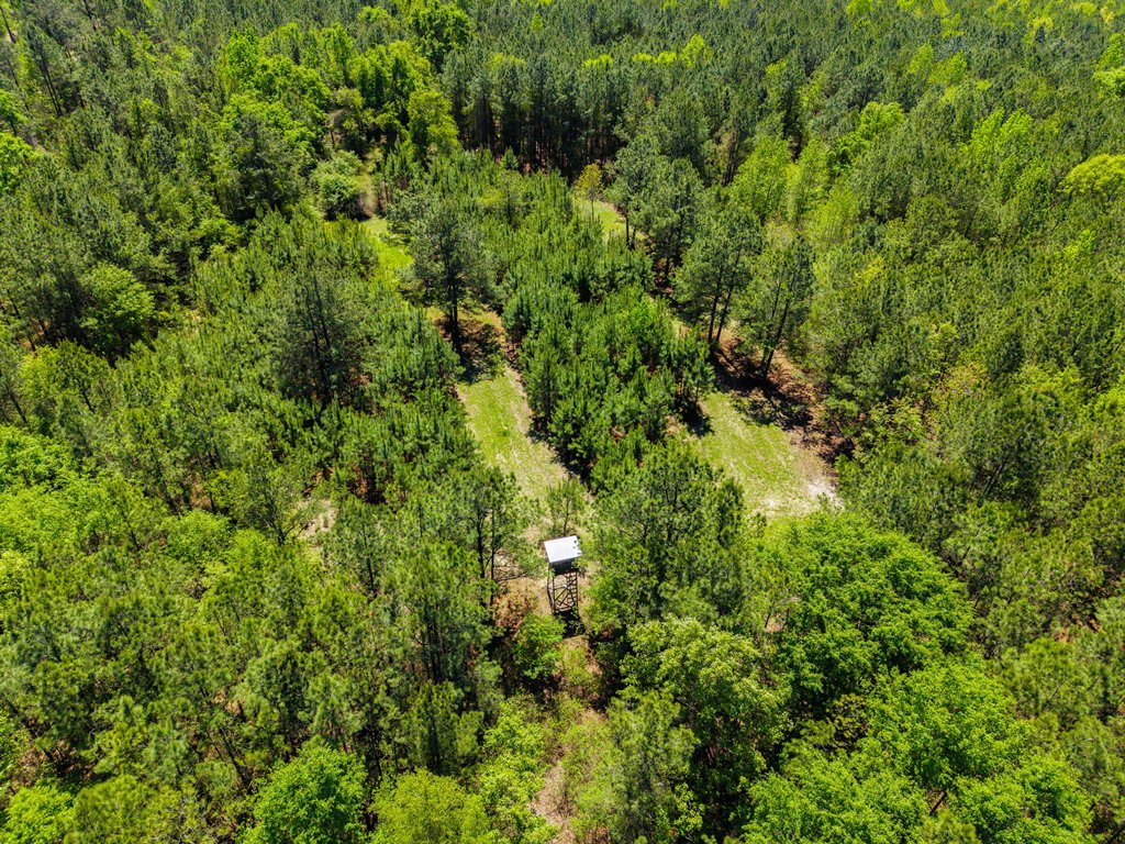 North Taylor Ranch Photo