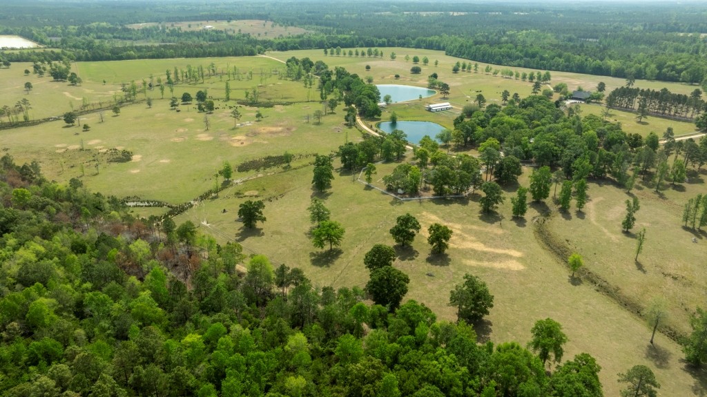 Elysian Fields Cattle Farm Photo
