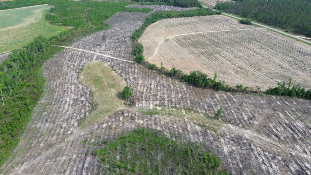 Bunn Store Road – Tract 3 Photo