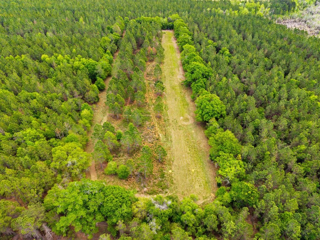 Wolf Branch Farm Photo