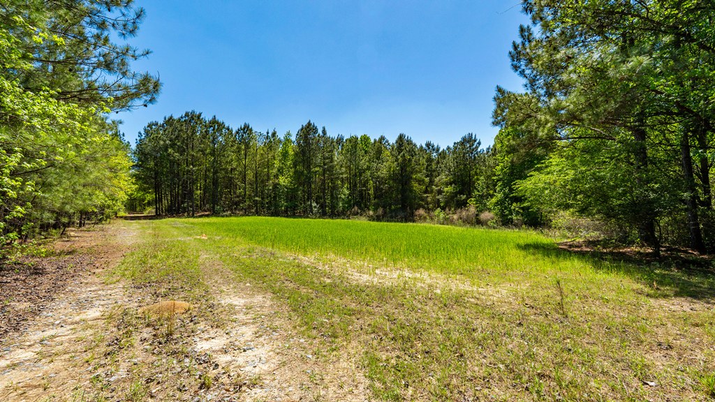 North Taylor Ranch Photo