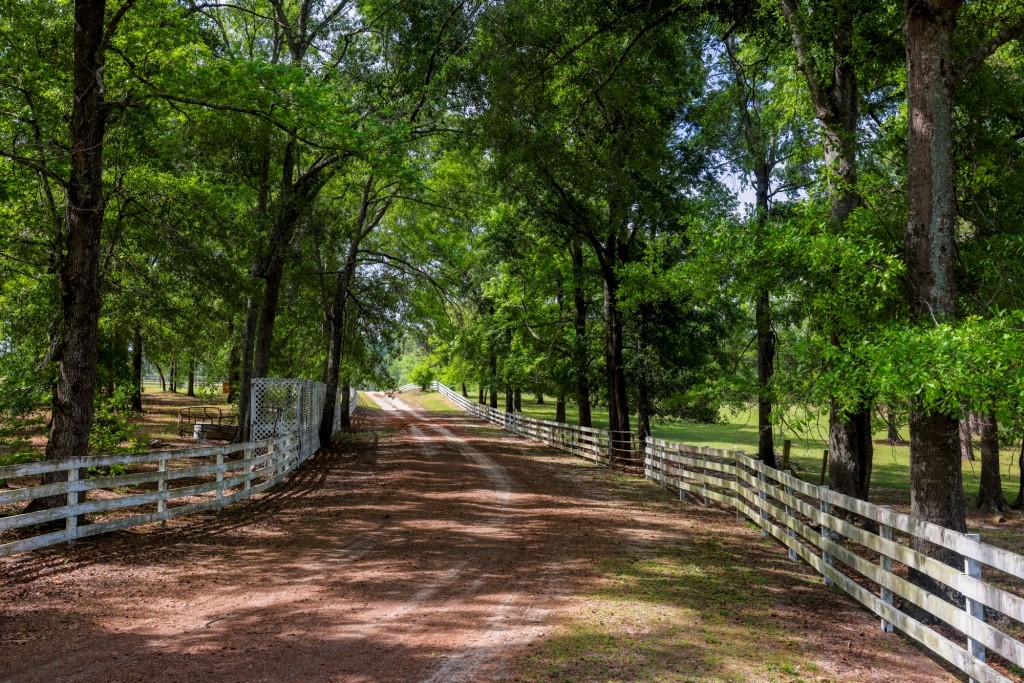 Elysian Fields Cattle Farm Photo