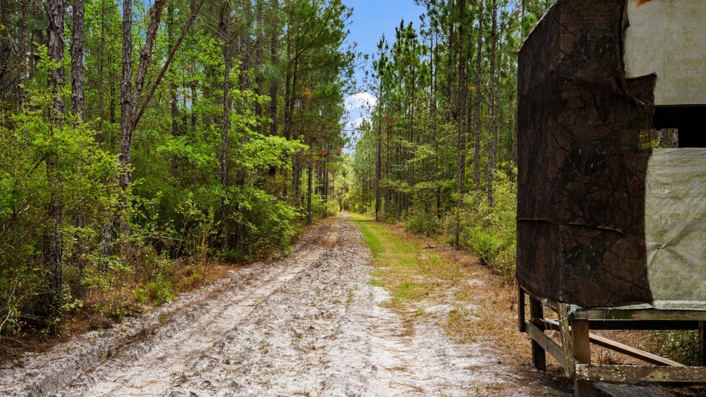 Wolf Branch Farm Photo