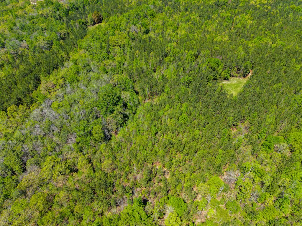 North Taylor Ranch Photo