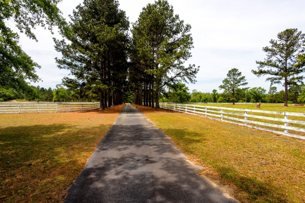 Elysian Fields Cattle Farm Photo