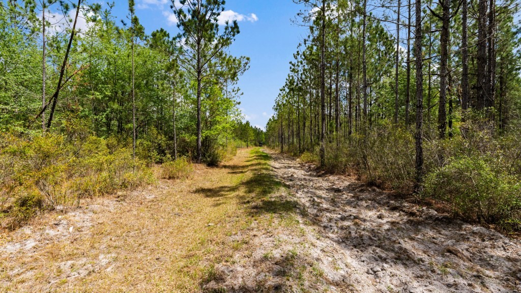 Wolf Branch Farm Photo