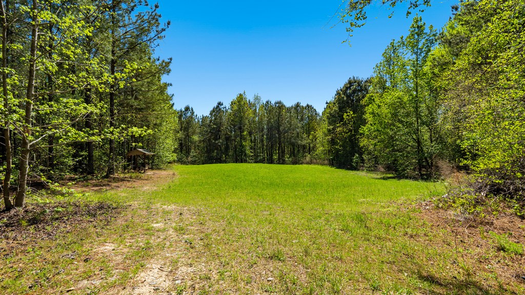 North Taylor Ranch Photo