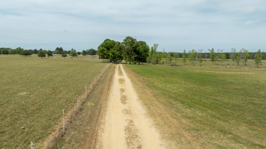 Elysian Fields Cattle Farm Photo