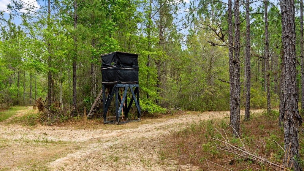Wolf Branch Farm Photo