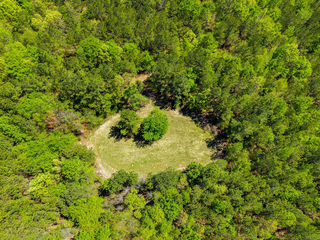 North Taylor Ranch Photo