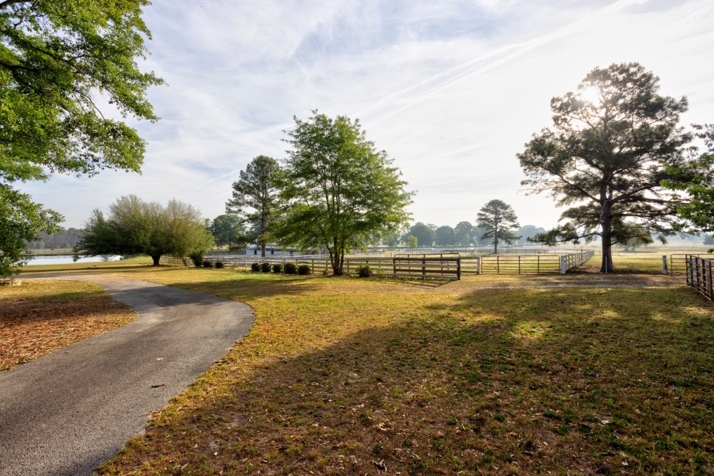 Elysian Fields Cattle Farm Photo