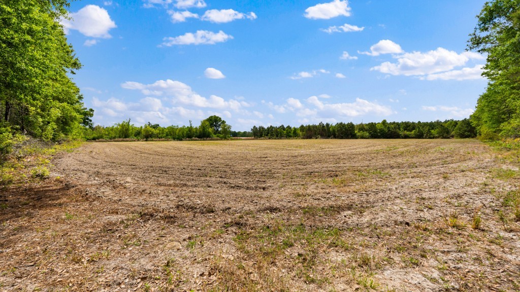 Wolf Branch Farm Photo