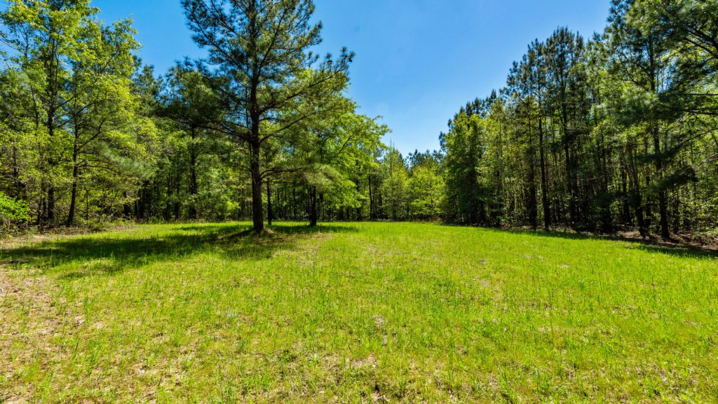 North Taylor Ranch Photo