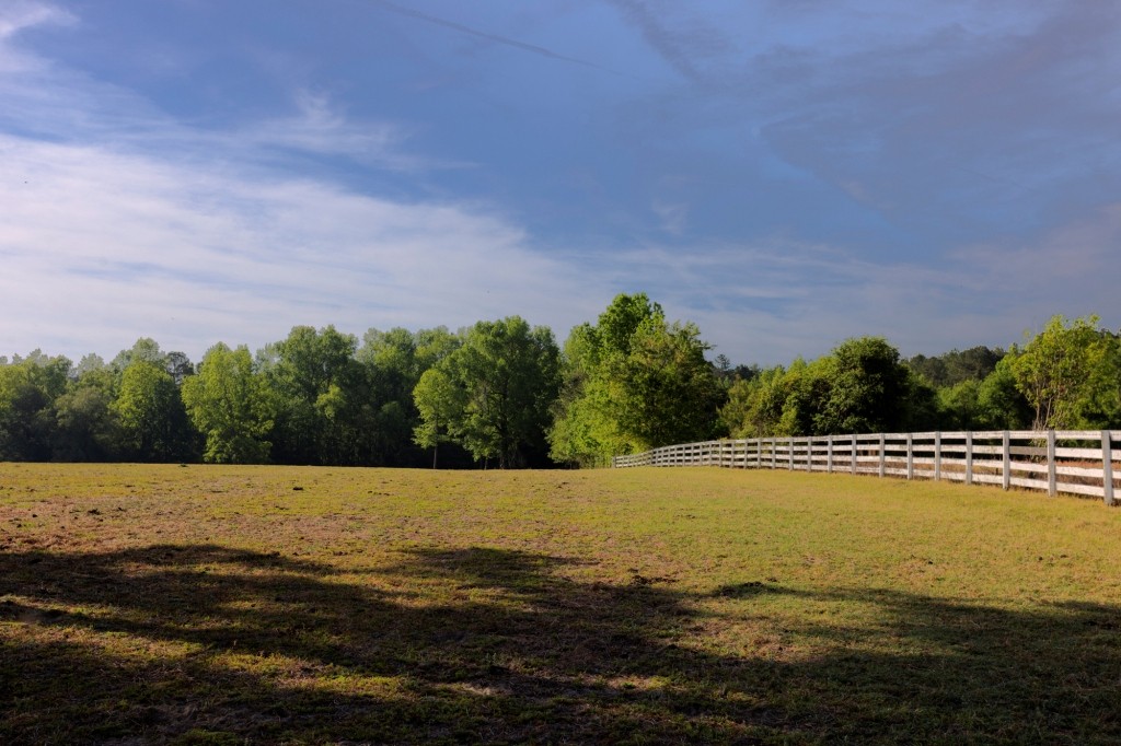 Elysian Fields Cattle Farm Photo