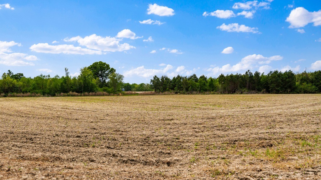 Wolf Branch Farm Photo