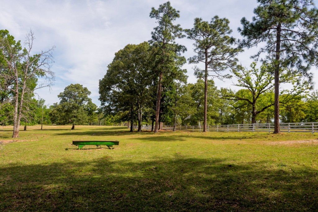 Elysian Fields Cattle Farm Photo