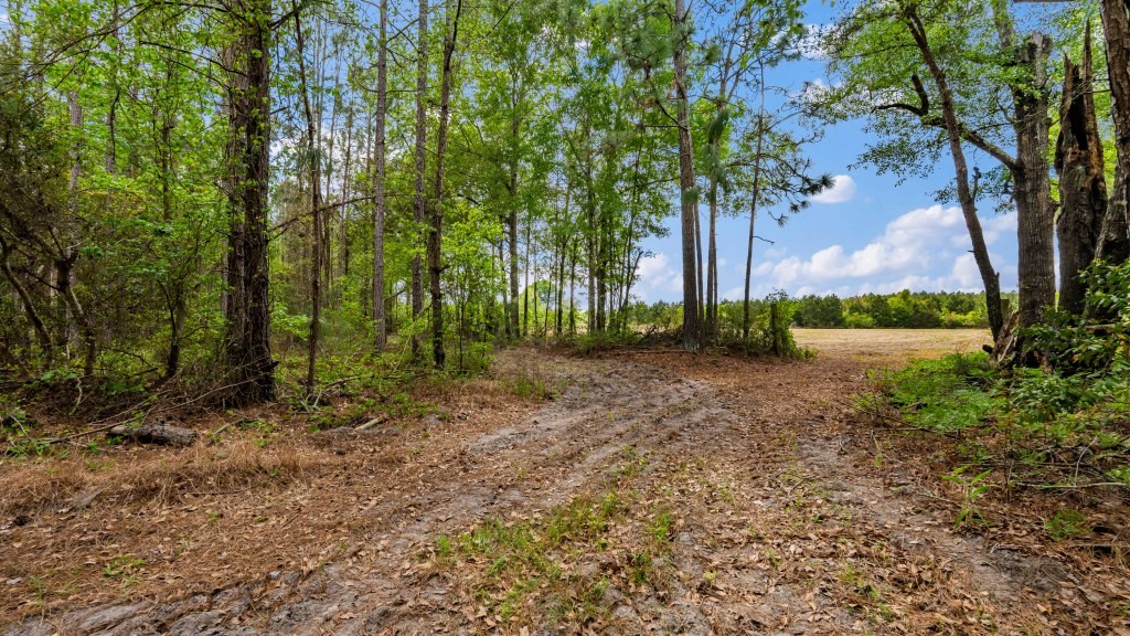 Wolf Branch Farm Photo