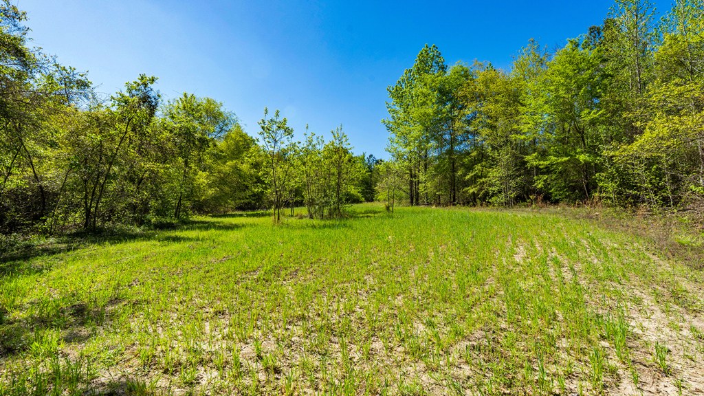 North Taylor Ranch Photo